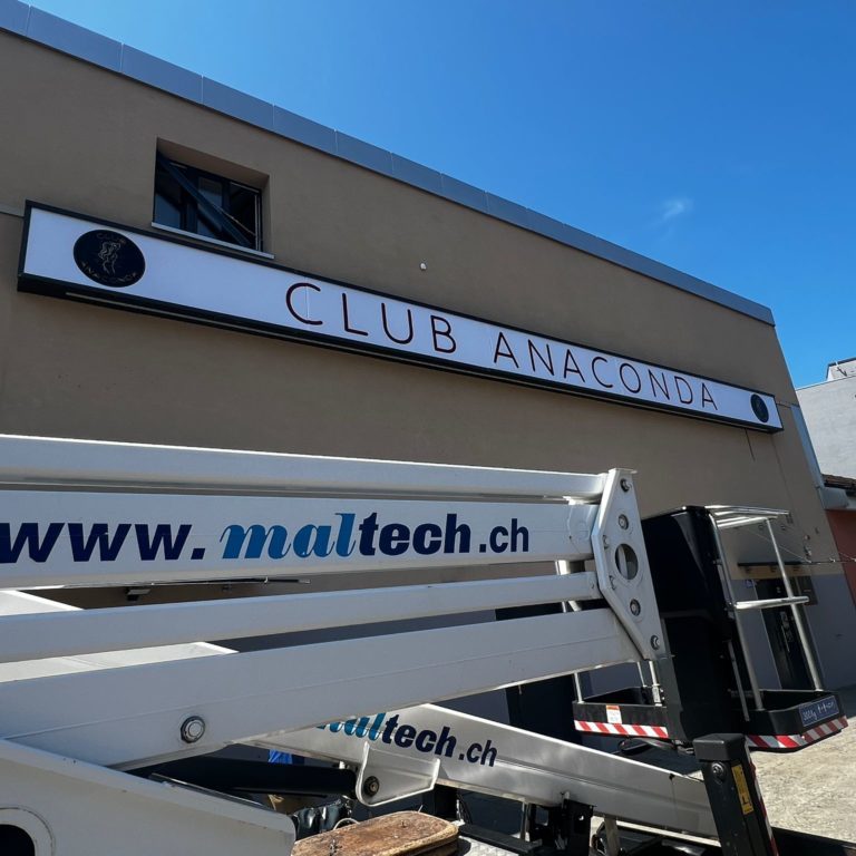 enseigne lumineuse - Club Anaconda